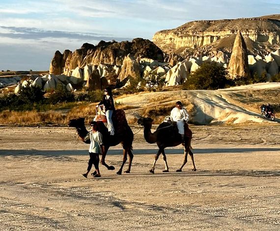 camel-tour-3